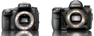 traditional-slrs