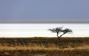 Etosha Pan, Namibia